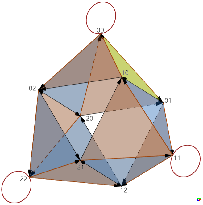 圆环染色网络图（3D）.PNG